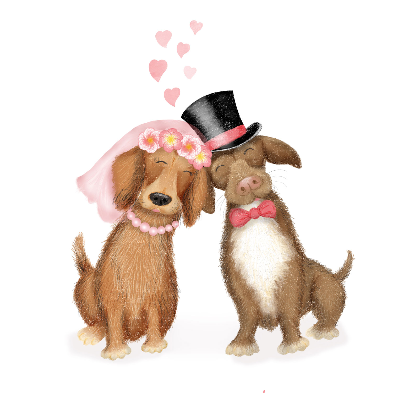 Drawing of two happy dachshunds wearing bride and groom outfits with hearts above them