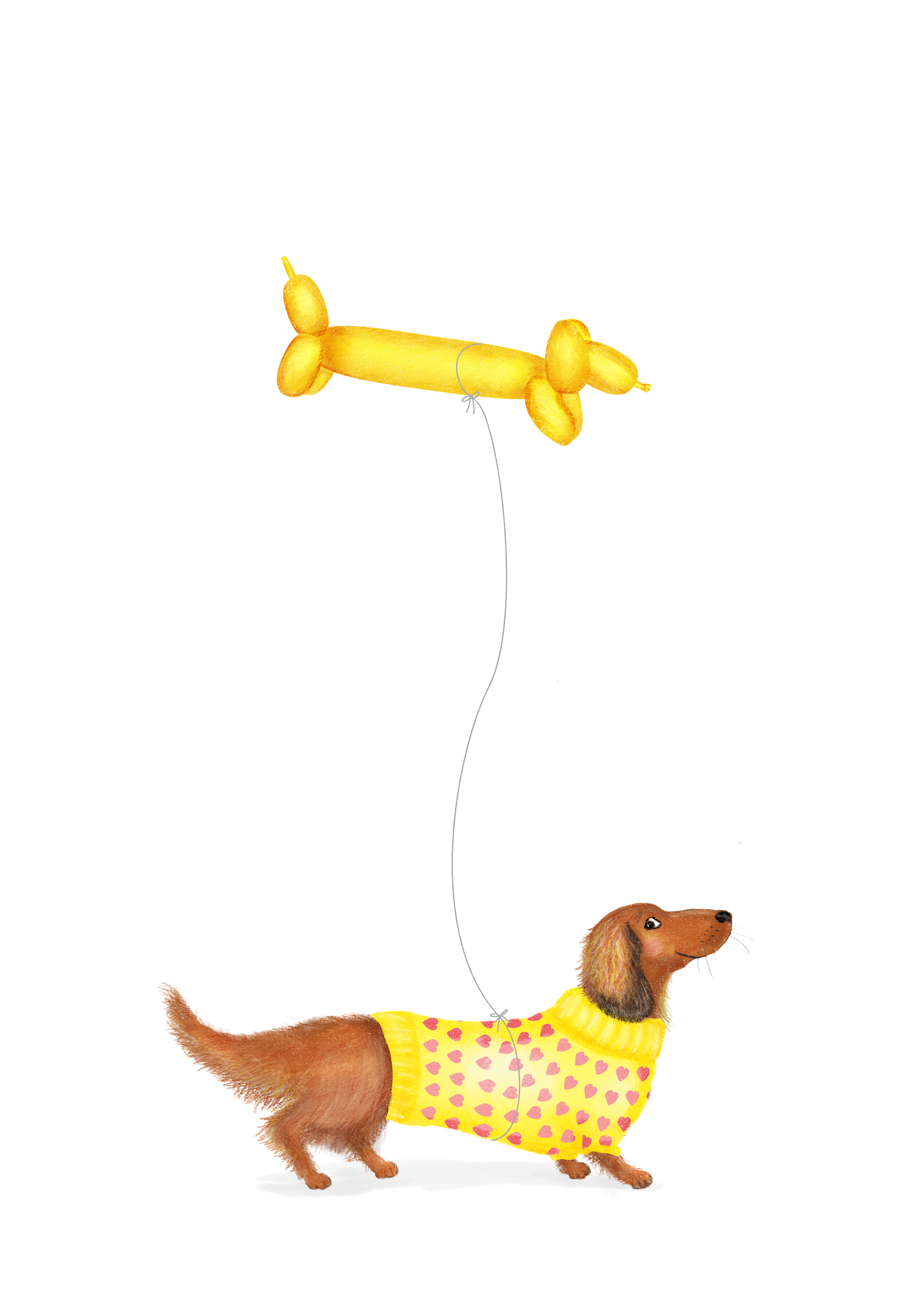 Dachshund wearing a yellow jumper holding a yellow sausage dog balloon