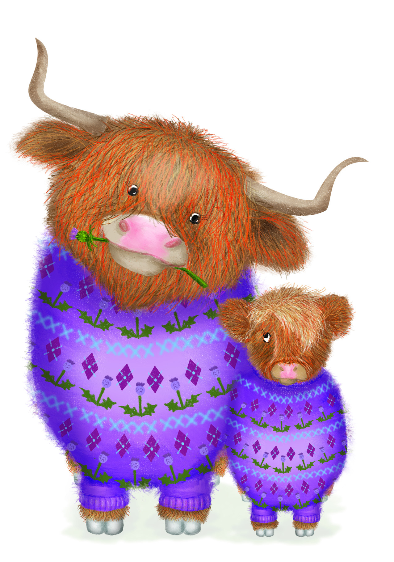 Highland coo and calf wearing purple knitted jumpers