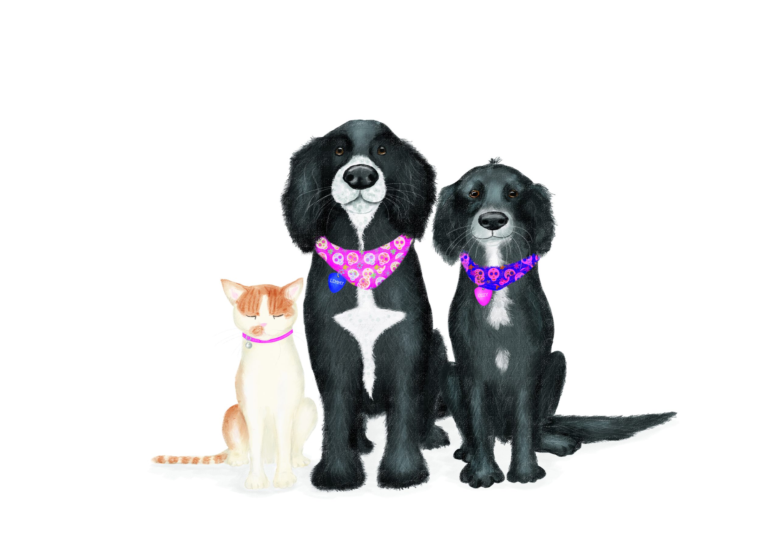 Two black spaniels wearing bandanas and a white and fawn cat