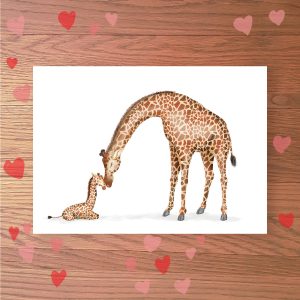 Greetings card with a mother giraffe and calf pressing their noses together.