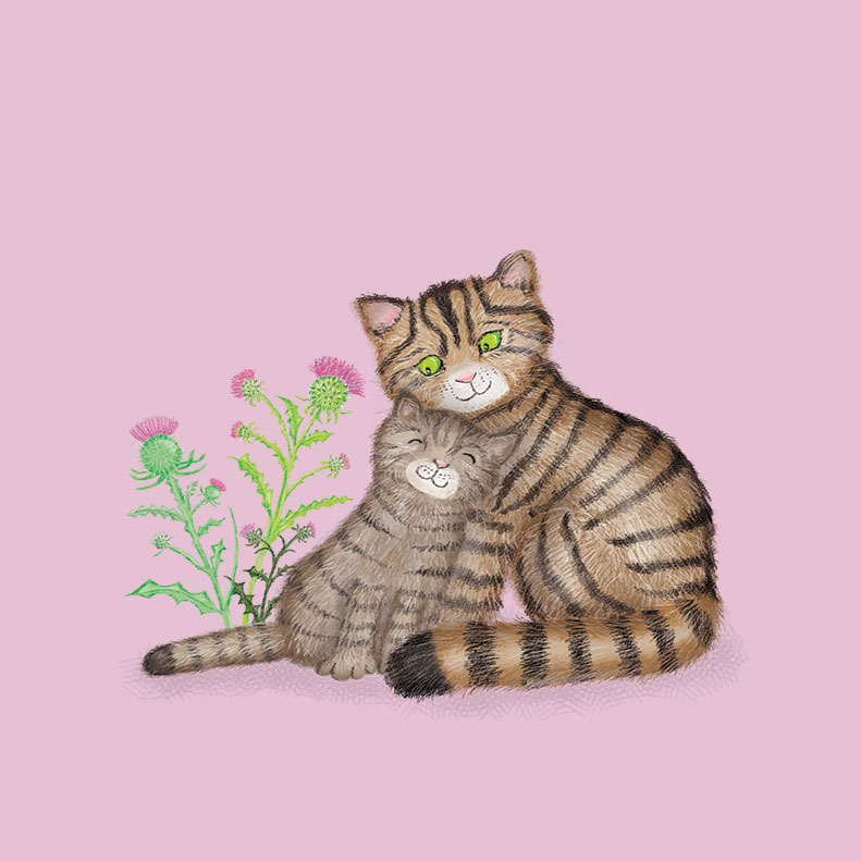 Drawing of a cute mother Scottish wildcat and kitten, on a lilac background.
