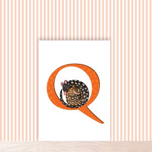 Orange capital letter Q with a cute mother and baby quoll, spotting marsupials, cuddliong together in a ball.