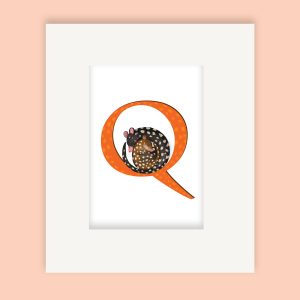 Mounted print hanging on the wall, of an orange capital letter Q with a cute mother and baby quoll, spotty marsupials, cuddled together in a ball.
