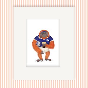 Mounted print hanging on the wall, of an orangutan wearing a Scotland rugby strip, holding a rugby ball and a pint of stout.