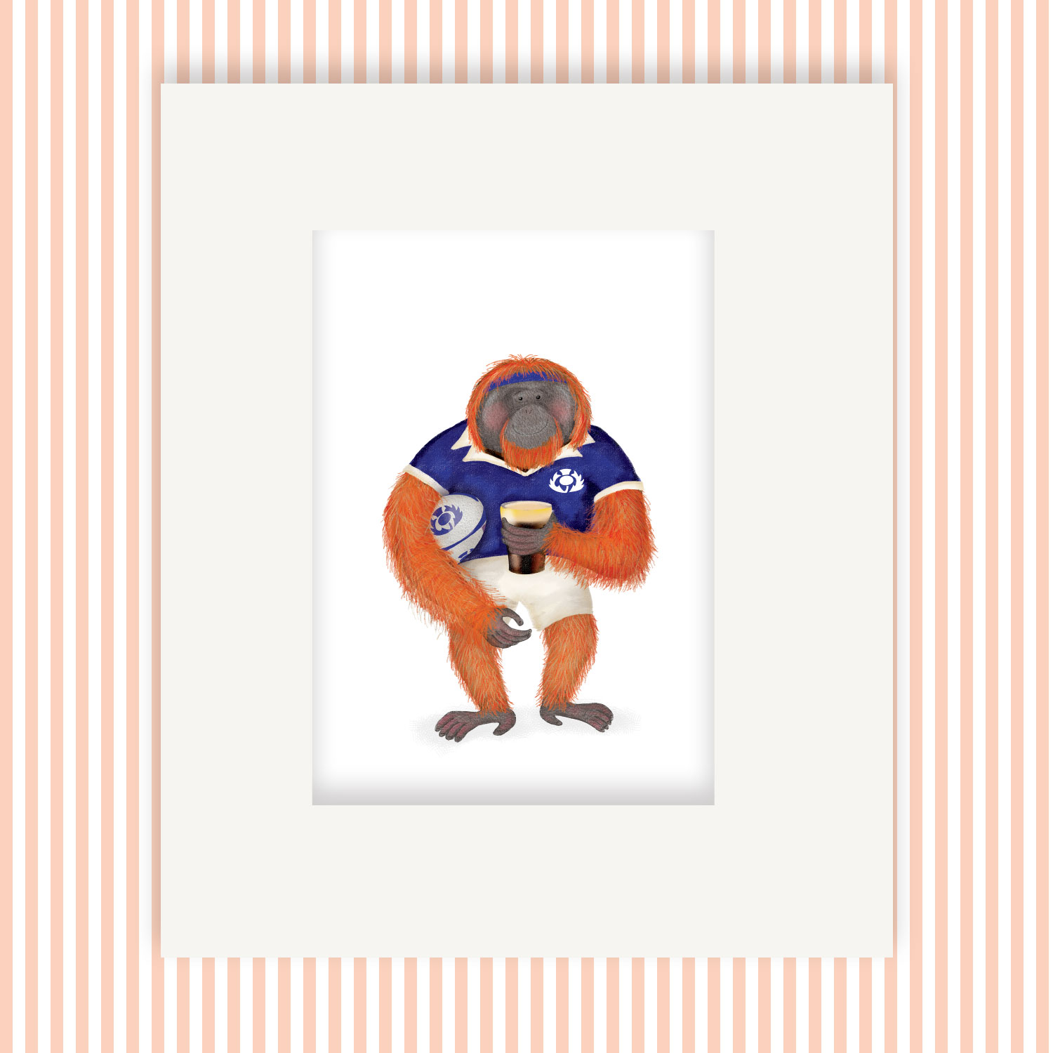 Mounted print hanging on the wall, of an orangutan wearing a Scotland rugby strip, holding a rugby ball and a pint of stout.