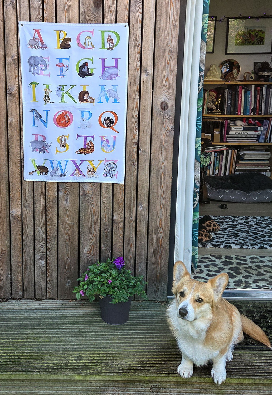 Tea towel with a colourful alphabet illustrated with baby animals and their parents, with a corgi sitting beneath the tea towel.
