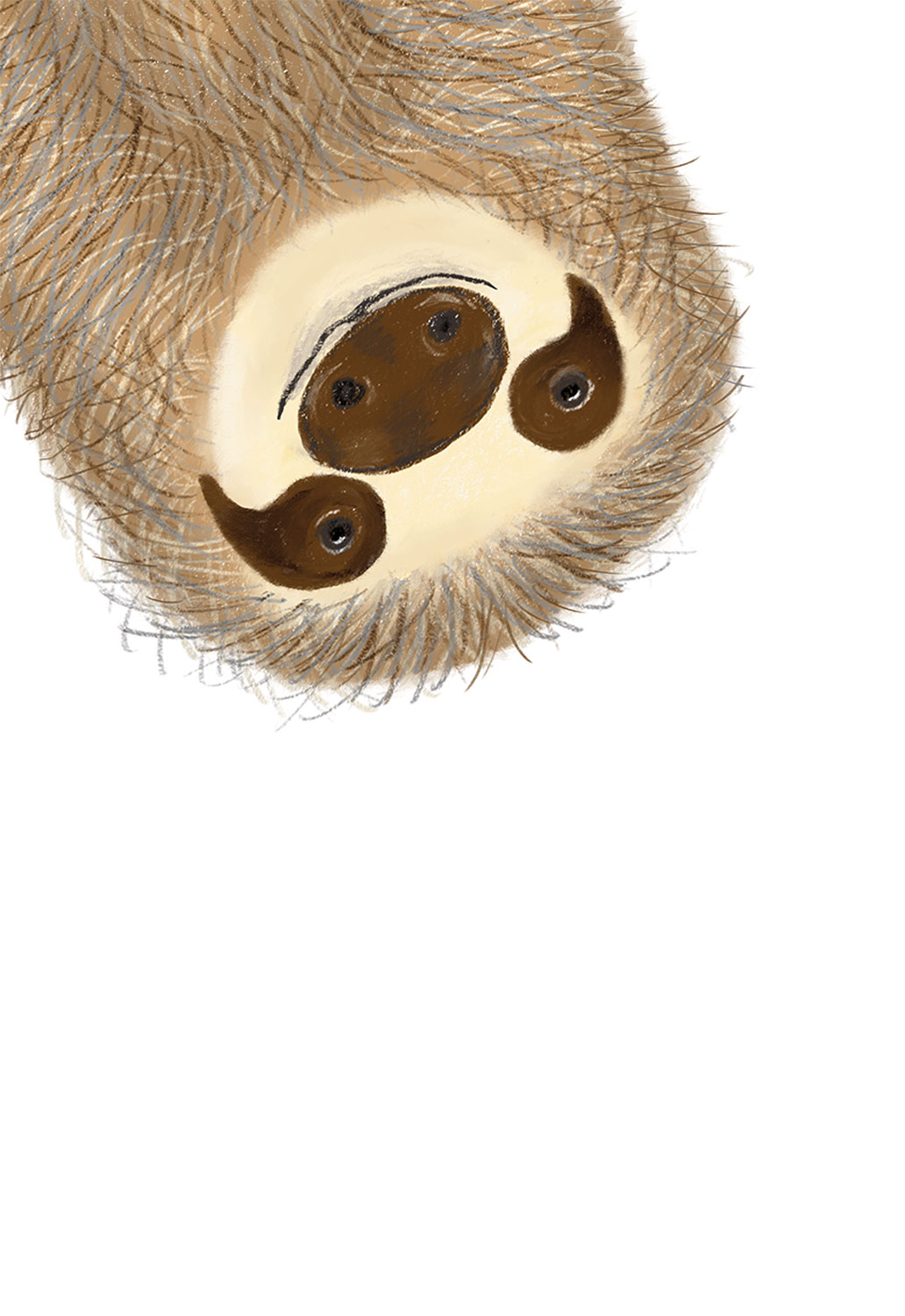 A big smiling sloth's face.